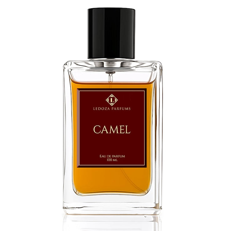 Camel Eau de Parfum 100ml by LEDOZA PARFUMS